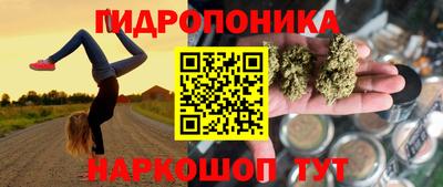 твердый Новокубанск