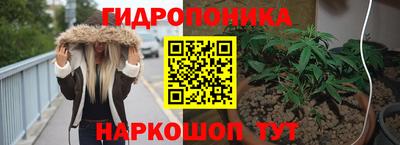 твердый Новокубанск