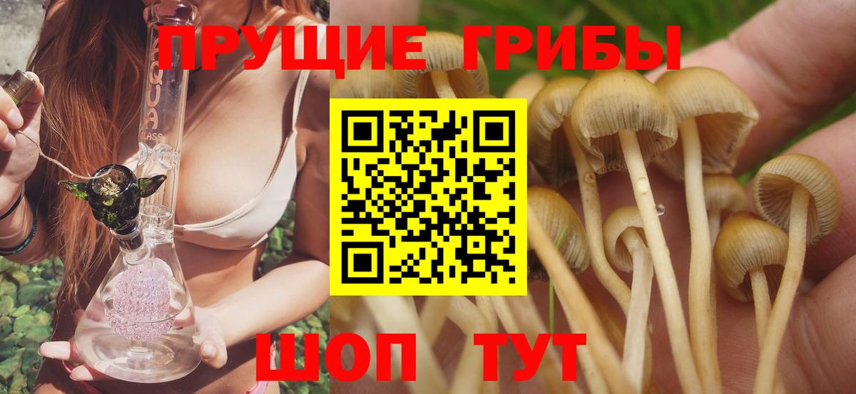 Псилоцибиновые грибы MAGIC MUSHROOMS  Вход с VPN  Тобольск  Галлюциногенные грибы Magic Shrooms 