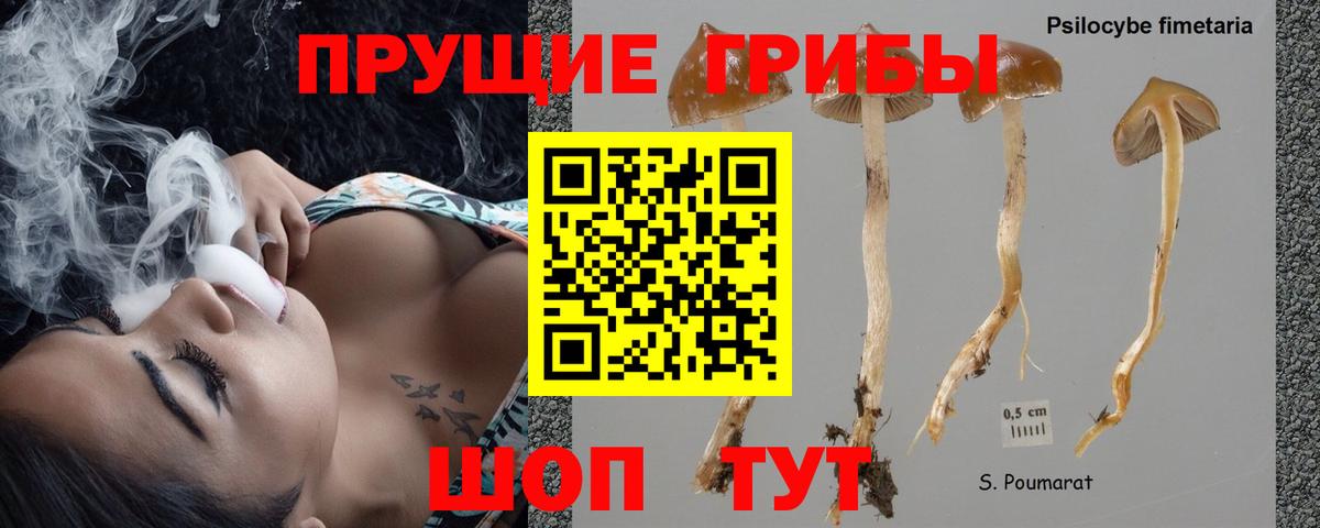 Галлюциногенные грибы Cubensis Тобольск